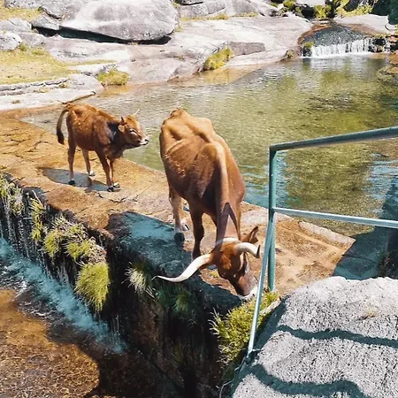 Casa Do Capucho - Soajo, Geres بيت للعطل