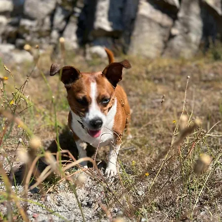 بيت للعطل Casa Do Capucho - Soajo, Geres