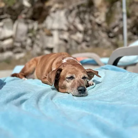 Casa Do Capucho - Soajo, Geres *