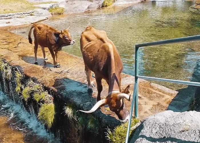 Casa Do Capucho - Soajo, Gerês Hébergement de vacances