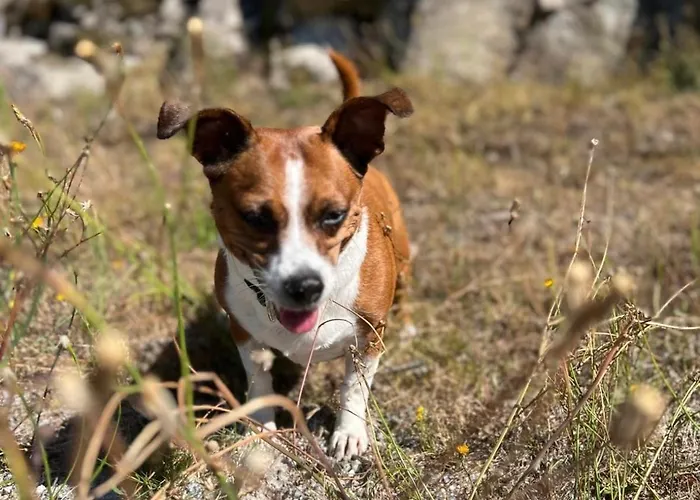 Ferienhaus Casa Do Capucho - Soajo, Geres