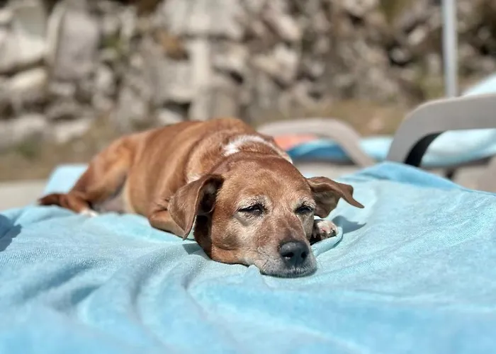 Casa Do Capucho - Soajo, Gerês *